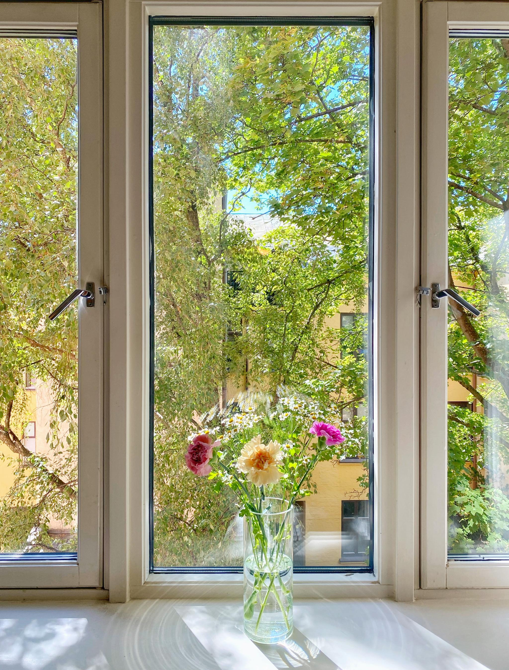 To nydelige trær i bakgården som gir et unikt lysspill 